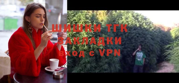 прущая мука Арсеньев