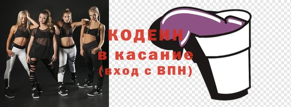 прущая мука Арсеньев