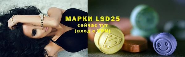 PSILOCYBIN Алексеевка