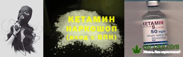 трава Аркадак