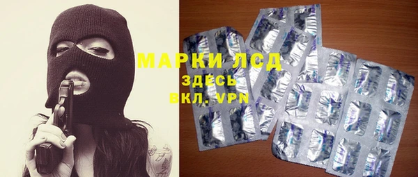 трава Аркадак